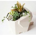 Ver imagem 3 de Escorredor Talheres Elefante Porta Escovas Vaso Casa