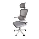 Ver imagem 3 de Cadeira Escritório Ergonômica Genebra com Suporte Lombar Relax Estofado Mesh Cinza