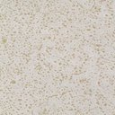Ver imagem 5 de Jogo 6 Pratos Rasos Bio Vanilla Cerâmica Stoneware Orgânico Off White 27cm Porto Brasil