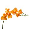 Arranjo Orquídea Artificial Laranja c/Cachepot de Vidro 12x37cm - 5