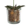 Arranjo Orquídea Artificial Laranja c/Cachepot de Vidro 12x37cm - 4