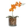 Arranjo Orquídea Artificial Laranja c/Cachepot de Vidro 12x37cm - 2