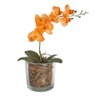Arranjo Orquídea Artificial Laranja c/Cachepot de Vidro 12x37cm - 3