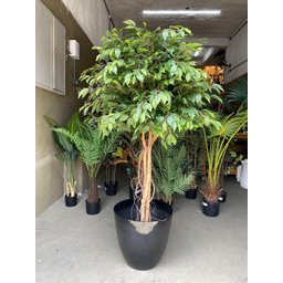 Vaso para Plantas Grande Decorativo Sala Jardim Alto Brilho (liso/preto) - 7