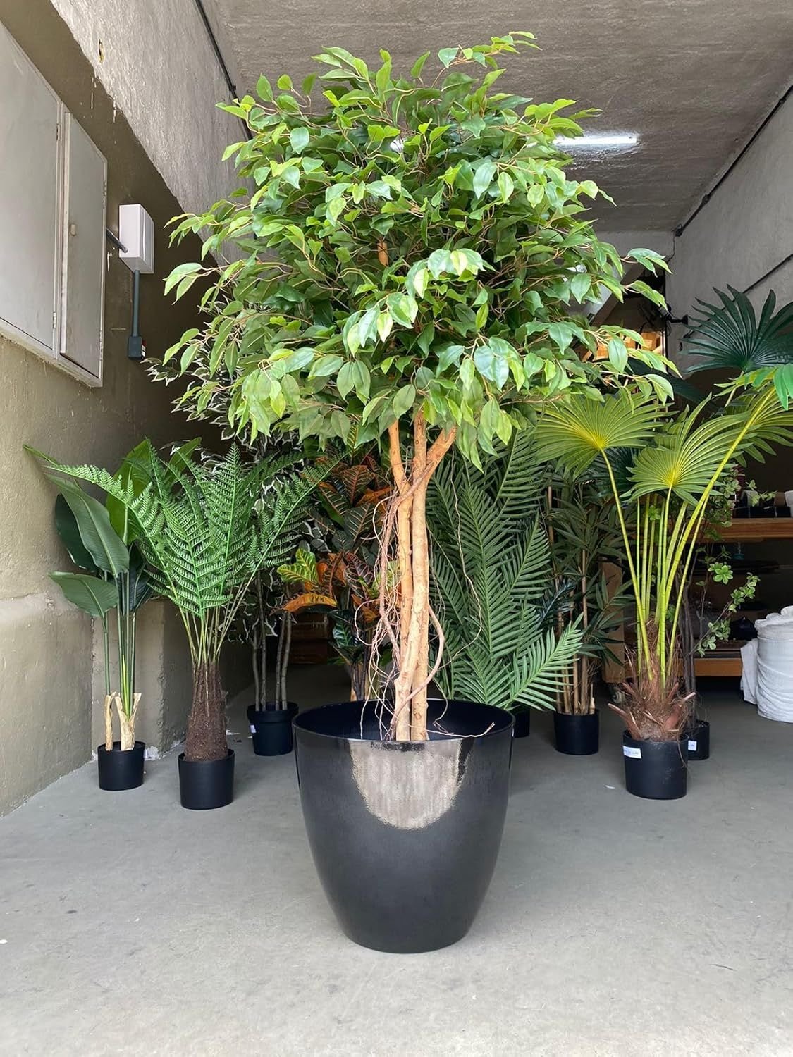 Vaso para Plantas Grande Decorativo Sala Jardim Alto Brilho (liso/preto ...