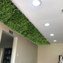 Ver imagem 5 de Kit 3 Placas de Plantas Artificiais Folhagem Exuberante Efeito 3d Decoração Parede Verde Realista