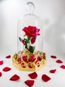 Ver imagem 1 de Luminária A Rosa Encantada de Luxo 41 cm por 22 cm Vidro com Base de Madeira Grande Presente para na