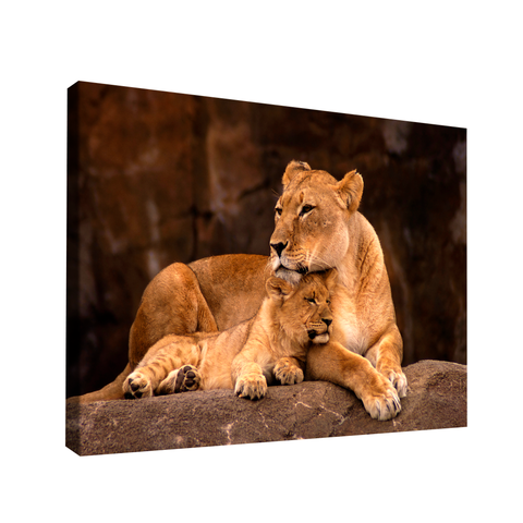 Quadro Leoa e Filhote -- BR ARTES