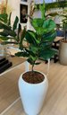 Ver imagem 1 de Vaso de Fibra de Vidro 62cm Tóquio m Auto Brilho Vietnamita Branco