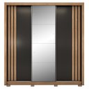 Ver imagem 6 de Guarda Roupa Casal 210cm com Espelho Moly Flex D02 Nude/preto - Mpozenato