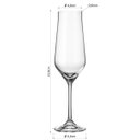 Ver imagem 3 de Taça Bohemia Lida Champanhe 24x6x6cm 220ml Cristal Transp 6PÇ