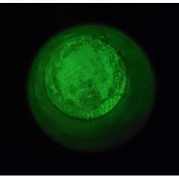 Pigmento Epóxi em P/resina Pó Luminoso Verde 50g Vip Resinas - 4