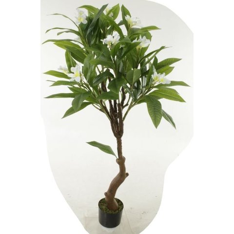 Planta Artificial Arvore Plumeria Real Toque C/pote X14 Branco 1,40m