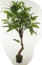 Ver imagem 1 de Planta Artificial Arvore Plumeria Real Toque C/pote X14 Branco 1,40m