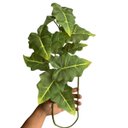 Ver imagem 3 de Kit de 9 Folhas Artificiais Caladium Realistas para Decoração Luxo