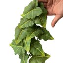 Ver imagem 6 de Kit de 9 Folhas Artificiais Caladium Realistas para Decoração Luxo