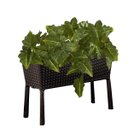 Ver imagem 7 de Kit de 9 Folhas Artificiais Caladium Realistas para Decoração Luxo