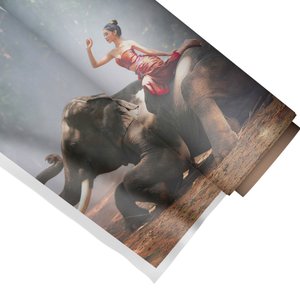 Quadro Decorativo Elefante 1:Médio 53x44cm/Somente Tela