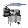 Carrinho Churrasco Cachorro Quente e Lanche Inox Toldo Cefaz - 1