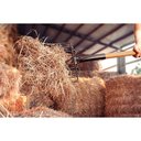 Ver imagem 4 de Forcado Reto Arame com 10 Dentes Tramontina Aço com Cabo Madeira 120cm Tramontina