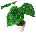 Ver imagem 2 de Arranjo de Planta Artificial em Vaso de Plástico Modelo:Planta Anthurium