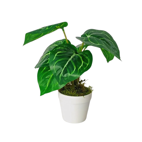 Arranjo de Planta Artificial em Vaso de Plástico Modelo:Planta Anthurium