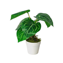 Ver imagem 1 de Arranjo de Planta Artificial em Vaso de Plástico Modelo:Planta Anthurium