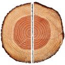 Ver imagem 6 de Disco de Serra Circular 24 Dentes 20x180mm | Fertak