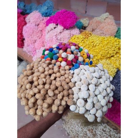 Botão Bolinha Desidratado , Buque com 100 Unidades Escolha a Cor - Cor Branca - 5 Buquês