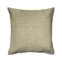 Ver imagem 1 de Capa de almofada VivaIN suede verde claro