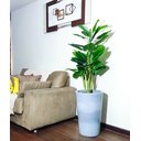 Ver imagem 1 de Folhas de Copo de Leite Decoração Realista Vaso Decorativo