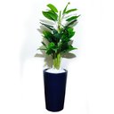 Ver imagem 2 de Folhas de Copo de Leite Decoração Realista Vaso Decorativo