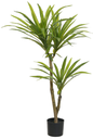 Ver imagem 1 de Planta Árvore Artificial Dracena Real Toque Pu C/pote X51 Verde 1,05m