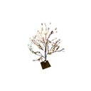 Ver imagem 3 de Enfeite Iluminado Salgueiro C/162 Leds Branco 40cm Bivolt