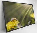 Ver imagem 3 de Quadro Abelha - 60x40 Cm - Adesivo Fotográfico