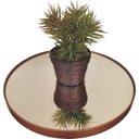 Ver imagem 3 de Mesa Lateral Cobre em Ferro com Tampo em Vidro