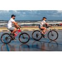 Ver imagem 2 de Cesto Cadeirinha Cães em Bicicleta Pet-basket Bege Rápido