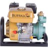 Motobomba Injetora Tj16/30 1.1/4x3/4" 5,5cv P Manual Buffalo - 1
