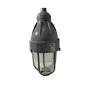 Ver imagem 2 de Luminária Exd Convercional 250w - Pendente