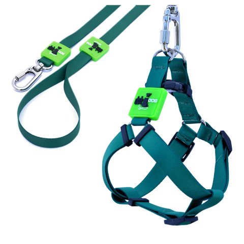 Coleira Cachorros com Guia Verde M Style