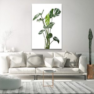Quadro Decorativo Tela Vertical Costela de Adão Sem Moldura e Sem Vidro 80X120