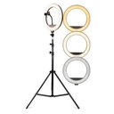 Ver imagem 1 de Ring Light 10 Polegadas Preto