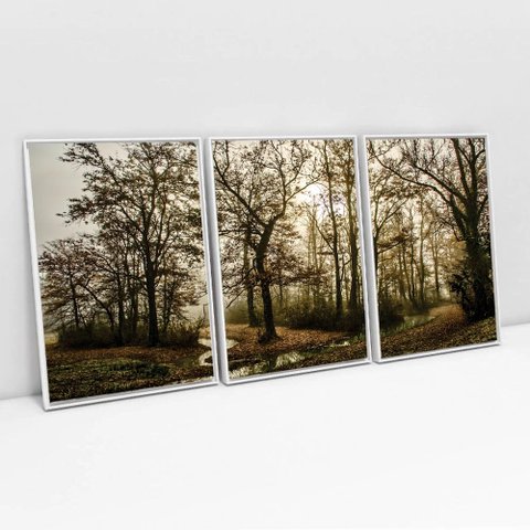 Kit Quadro Decorativo 3 Telas Canvas o Caminho Das Arvores Tacolado Moldura Flutuante 4,5cm Branca 8