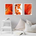 Ver imagem 1 de Kit 3 Quadros Decorativos Modernos Flores Laranjas 24x18cm:madeira Branca
