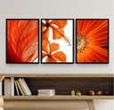 Ver imagem 2 de Kit 3 Quadros Decorativos Modernos Flores Laranjas 24x18cm:madeira Branca