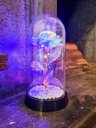 Ver imagem 1 de Luminária a Rosa Encantada Galáxia Colorida a Bela e a Fera - Preto