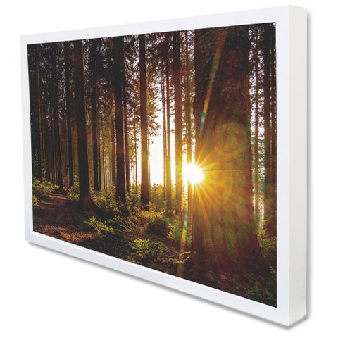 Quadro Decorativo Caixa As Árvores e o Nascer do Sol  Tacolado Moldura Caixa 3cm Madeira com Vidro 8