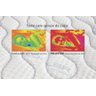 Conjunto Box King Molas Dualzone Maxzone Látex Natural 192x203x74 Reconflex - 3