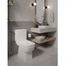 Vaso Sanitário com Caixa Acoplada e Assento Soft Close Elite Celite - 13