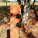 Ver imagem 4 de Fio Eletroplástico Rolo 1000m Laranja Leve 2mm Cercas Elétricas Ep1000 + 200 Roldanas 24mm - Zebu